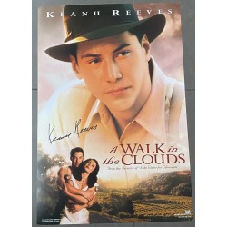 WALK IN THE CLOUDS