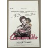 CAMOMILLE