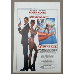 VIEW TO A KILL