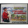 ROSSIGNOL DES MONTAGNES