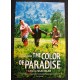 COLOR OF PARADISE