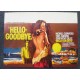 HELLO - GOODBYE