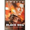 BLACK DOG