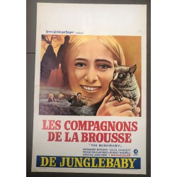 BUSHBABY